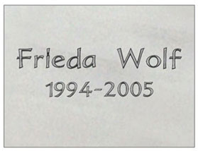 schrift_01